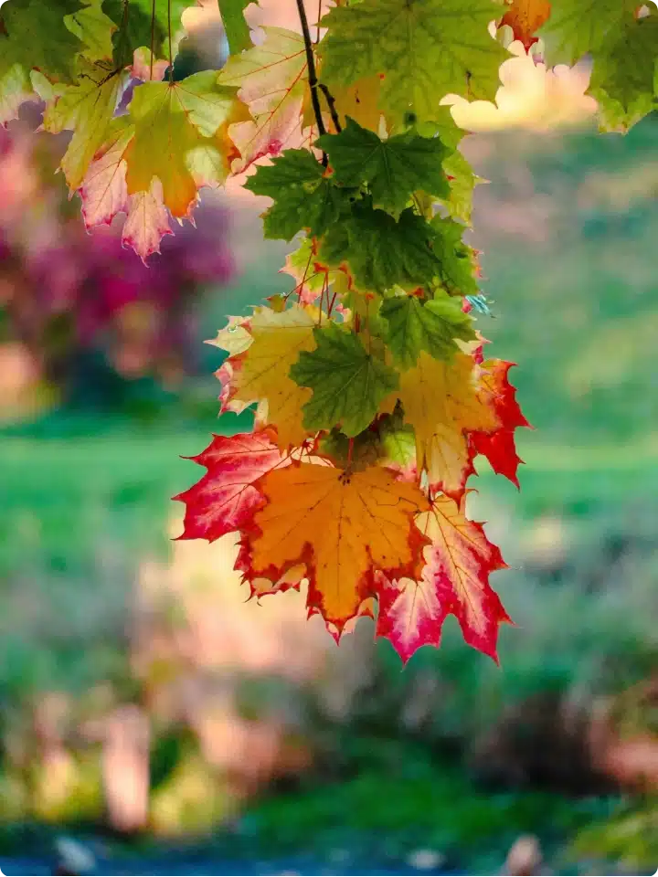 outcome-coaching-making-a-career-transition